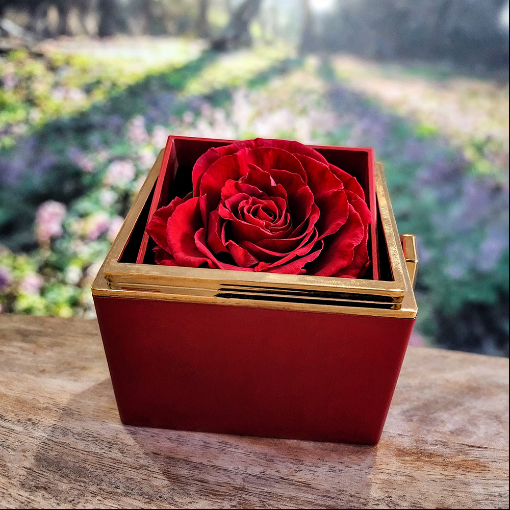 To My Wife - Love Knot with Rotating Rose Gift Box