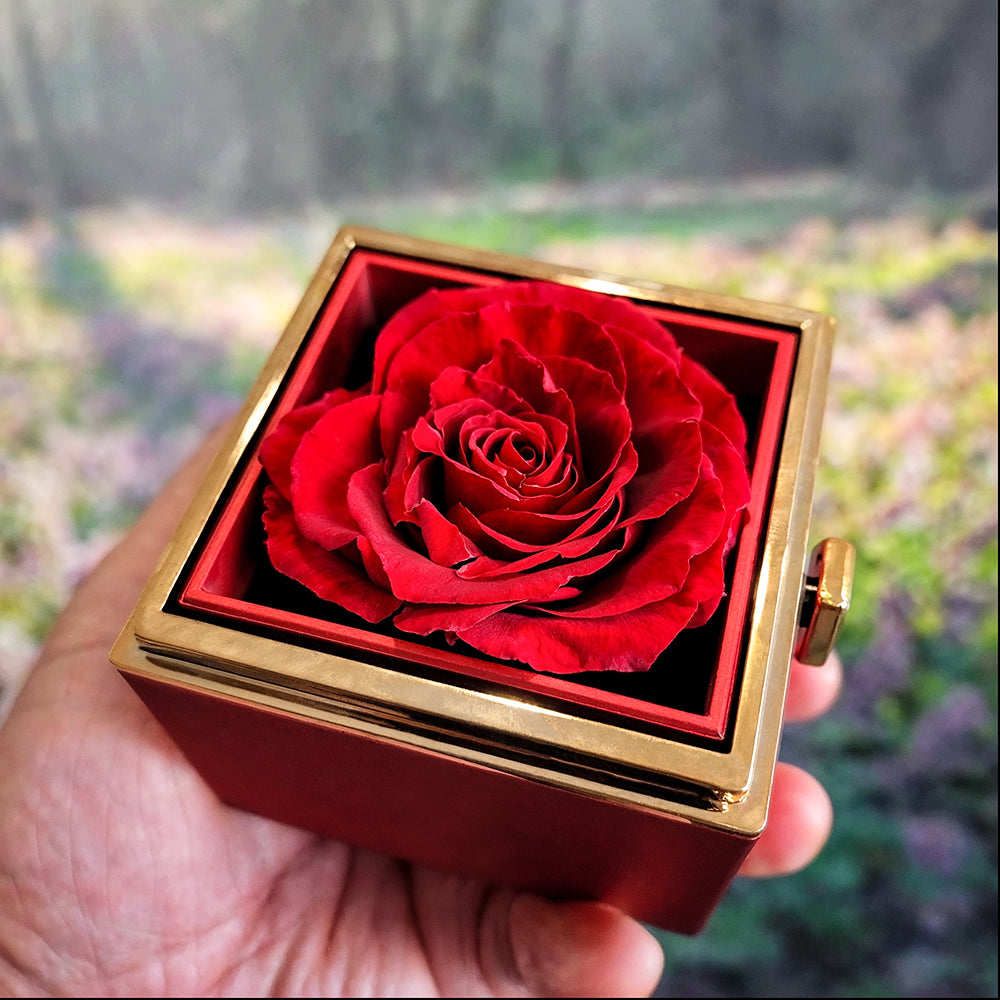 To My Wife - Love Knot with Rotating Rose Gift Box