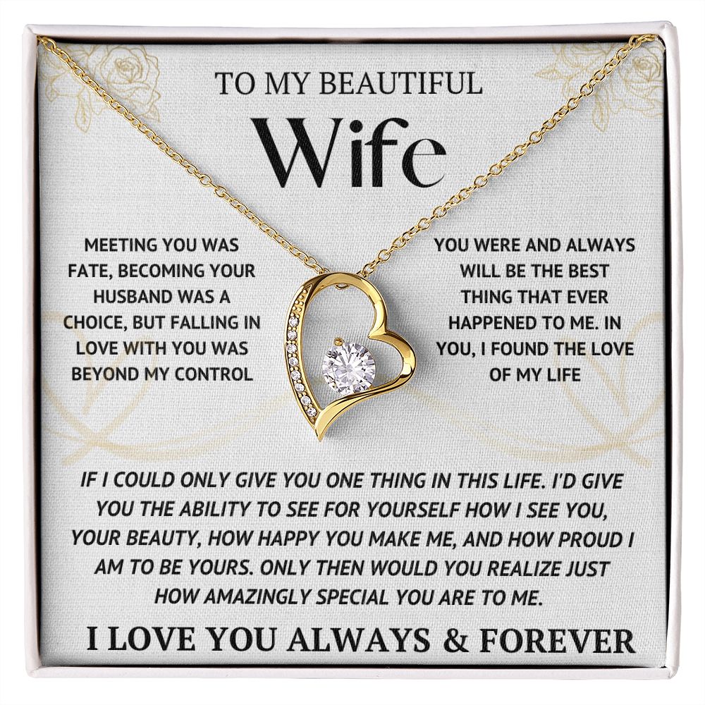 My Beautiful Wife - How Amazingly Special You Are To Me